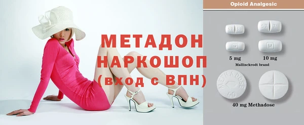 стаф Болотное