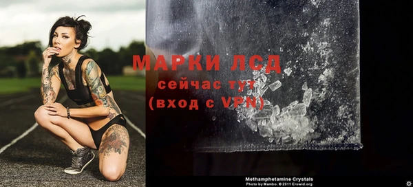 индика Болхов